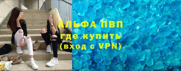шишки Алексин