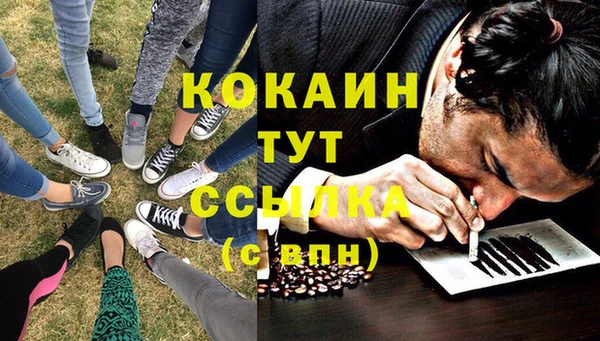 дживик Алзамай