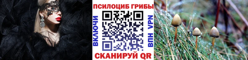 купить наркотики цена Катайск Галлюциногенные грибы Psilocybine cubensis